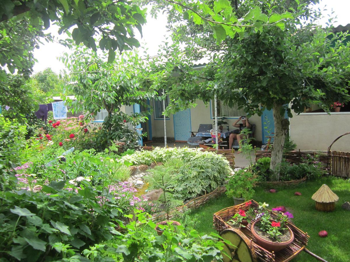 Olga Guest House Tsjolpon-Ata Eksteriør bilde