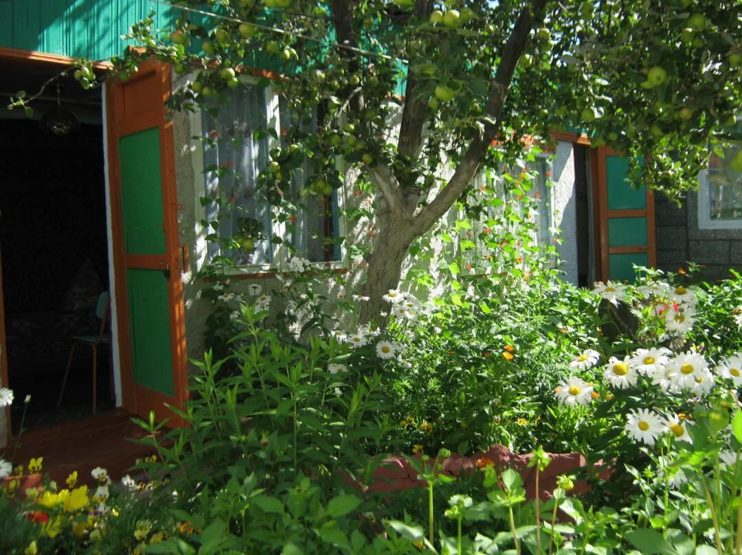Olga Guest House Tsjolpon-Ata Eksteriør bilde