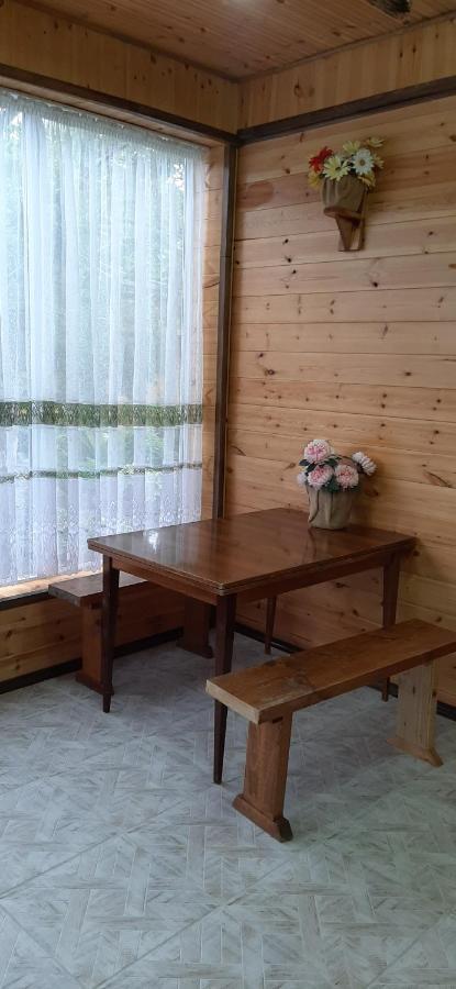 Olga Guest House Tsjolpon-Ata Eksteriør bilde